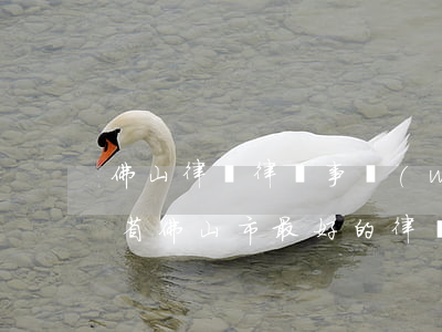 佛山律師律師事務(wù)所婚姻排名(廣東省佛山市最好的律師)