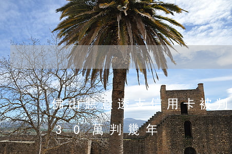 佛山惡意透支信用卡被判刑(惡意透支信用卡30萬判幾年)