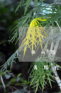 佛山招商银行卡片逾期多久被起诉-佛山招商银行卡片逾期多久被起诉了