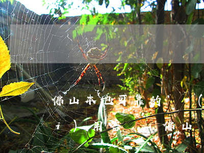 佛山本地可靠的債務(wù)律師費(fèi)用咨詢-佛山債務(wù)糾紛律師
