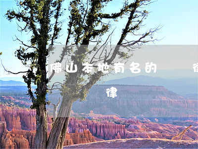 佛山本地有名的債務律師費用咨詢-佛山債務糾紛律師