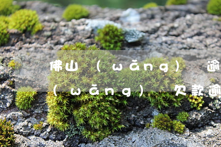 佛山網(wǎng)貸逾期多久被起訴-網(wǎng)貸欠款逾期多久會(huì)被起訴