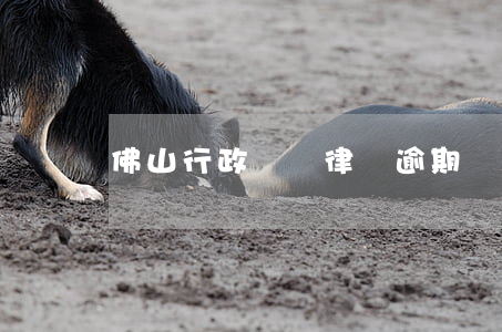 佛山行政訴訟律師逾期(廣東佛山律師)