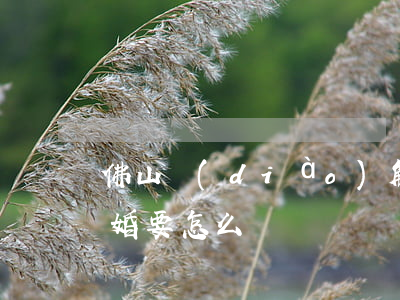 佛山調(diào)解離婚的地方(佛山市離婚要怎么辦)