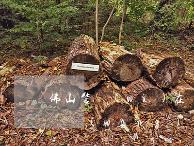 佛山警務(wù)在線，佛山警務(wù)在線網(wǎng)