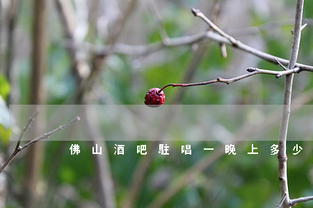 佛山酒吧駐唱一晚上多少錢