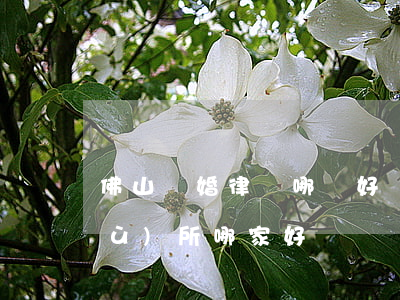 佛山離婚律師哪個好(廣州離婚律師事務(wù)所哪家好)