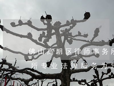 佛山高明区律师事务所，佛山高明区律师事务所：专业法律服务，为您保驾护航