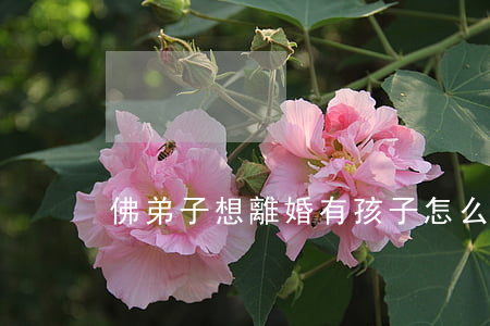 佛弟子想離婚有孩子怎么辦
