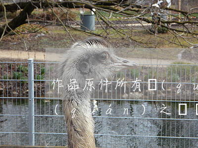 作品原件所有權(quán)和作品著作權(quán)之間關(guān)系是如何的