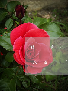 作為唯一繼承怎么辦房產(chǎn)過戶人(房產(chǎn)不繼承能直接過戶賣給別人嗎)