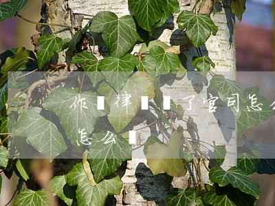 作為律師輸了官司怎么辦(作為律師輸了官司怎么辦)