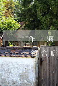作為海關(guān)行政復議申請人應當符合哪些條件