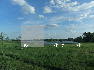 佟麗婭為什么離婚