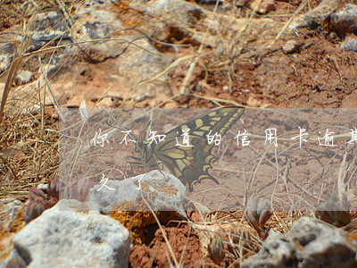 你不知道的信用卡逾期(你們的信用卡逾期多久了)