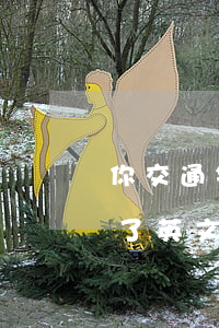 你交通银行卡逾期了翻译英语-你的卡过期了英文翻译