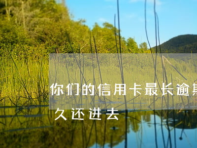 你们的信用卡最长逾期过多久（信用卡逾期多久还进去）
