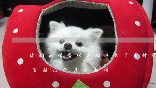 你们花呗借呗逾期多久了(支付宝花呗和借呗逾期几个月会如何?)