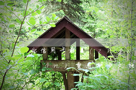 你信用卡最長(zhǎng)逾期多久(嚴(yán)重逾期多久能申請(qǐng)信用卡)