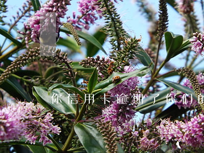 你信用卡逾期了(你们的信用卡逾期多久了)