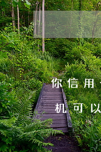 你信用卡逾期飞机可以坐吗(你信用卡逾期飞机可以坐吗吗)