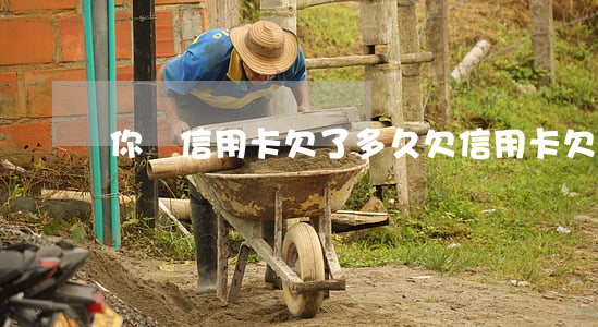你們信用卡欠了多久(欠信用卡欠多久會被起訴)