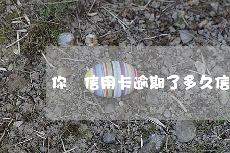 你們信用卡逾期了多久(信用卡 逾期多久)