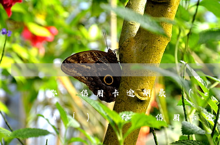 你們信用卡逾期最長(zhǎng)時(shí)間(你們信用卡逾期最長(zhǎng)時(shí)間)