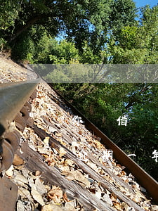 你們借唄逾期一年違約金是多少-你們借唄逾期一年違約金是多少錢