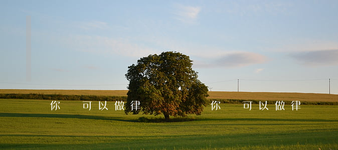你們可以做律師會見嗎(你們可以做律師會見嗎)