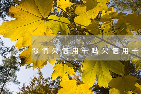 你們欠信用卡嗎(欠信用卡的人多么)
