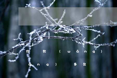 你們欠網(wǎng)貸多久（你們欠網(wǎng)貸多久）