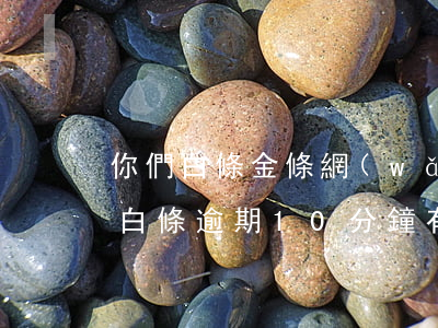 你們白條金條網(wǎng)貸逾期多久了(白條逾期10分鐘有事嗎)