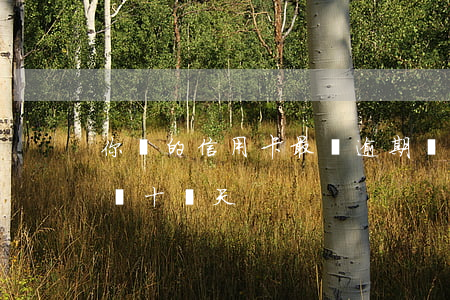 你們的信用卡最長逾期過多久（信用卡逾期超過十幾天）