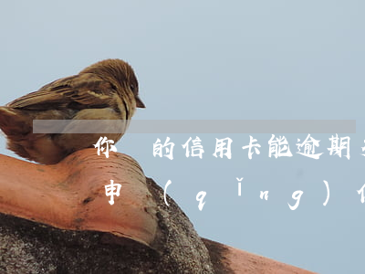 你們的信用卡能逾期多久(有逾期后多久可以申請(qǐng)信用卡)