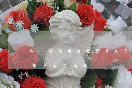 你們的信用卡逾期多久了-你們的信用卡逾期多久了英文