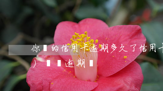 你們的信用卡逾期多久了（信用卡沒(méi)還夠逾期嗎）