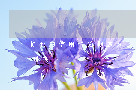 你們的信用卡逾期多久了（信用卡逾期了卡片到期）