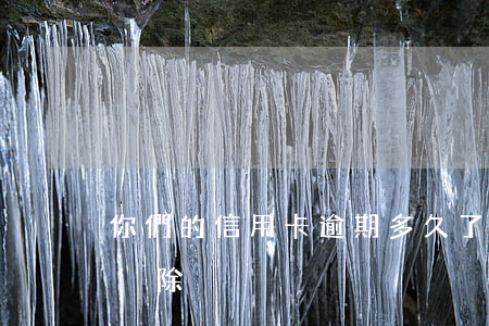 你們的信用卡逾期多久了（信用卡逾期多久能刪除）