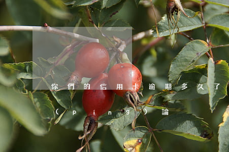 你們的信用卡逾期多久了（信用卡逾期怎么評(píng)論）
