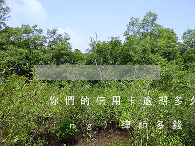 你們的信用卡逾期多久了（信用卡逾期請(qǐng)律師多錢）