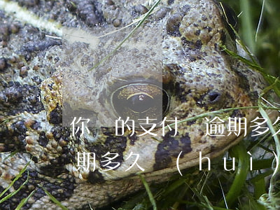 你們的支付寶逾期多久才還清的-支付寶逾期多久會(huì)讓一次性還清