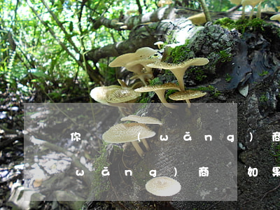 你們網(wǎng)商貸都逾期了多久(網(wǎng)商貸如果逾期了,會(huì)怎么樣)