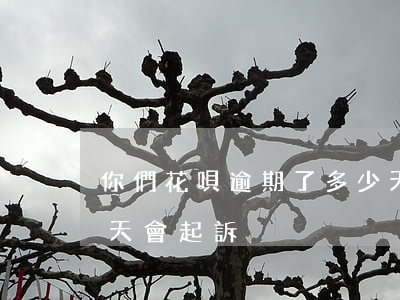 你們花唄逾期了多少天(你們花唄逾期了多少天會起訴)