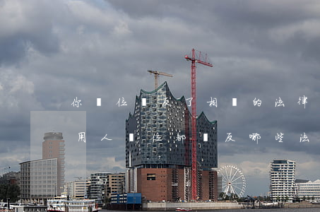 你單位違反了相關的法律法規(guī)(用人單位都違反哪些法律法規(guī))