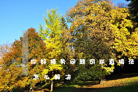 你好债务问题可以直接法院解决吗(债务纠纷怎么解决?)