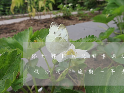 你好律師我信用卡逾期一年多了-你好律師我信用卡逾期一年多了