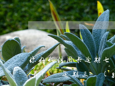 你好我信用卡逾期七個(gè)月了(欠信用卡7萬逾期三個(gè)月 已經(jīng)被起訴)