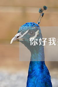 你好我想找個律師怎么找啊(我要找個律師)