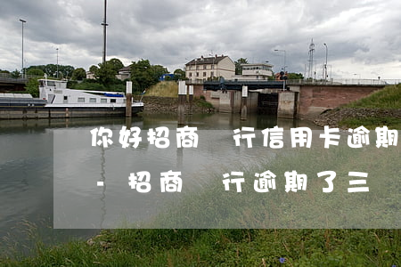 你好招商銀行信用卡逾期三個(gè)月了-招商銀行逾期了三個(gè)月還上還可以用卡嗎